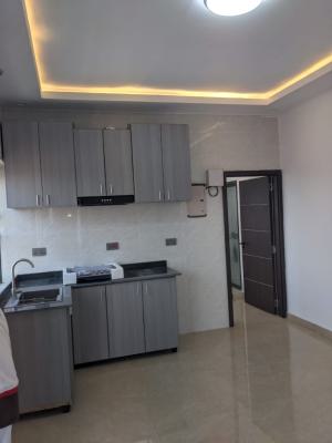 Luxurious Miniflat with Fitted Kitchen, Badore, Ajah, Lagos, Mini Flat (room and Parlour) for Rent