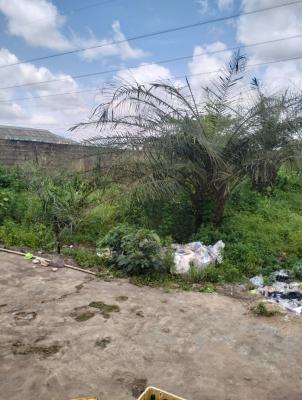 Dry Table Land with 4-shops, Off Atan Kekere Bus Stop, Ayobo, Lagos, Industrial Land for Sale