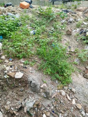 Bare Land of Approximately 1000sqm, Prime Spring Road, Ikate Elegushi, Lekki, Lagos, Commercial Land for Rent