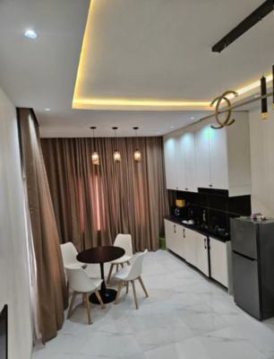 Newly Built and Fully Furnished 2 Bedroom Apartment, Nizamiye Hospital Axis, Idu Industrial, Abuja, Flat / Apartment for Rent