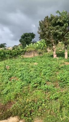 Affordable 1000sqm Plot of Land, Lugbe District, Abuja, Mixed-use Land for Sale
