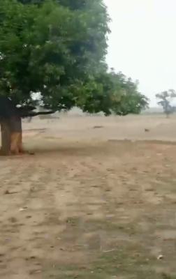 17 Hectares of Dry Land, Lugbe District, Abuja, Mixed-use Land Joint Venture