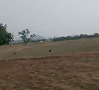 a Dry Land for Outright Purchase, Garki, Abuja, Commercial Land for Sale