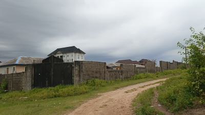 Conner Piece 2plots of Dry, Level Fenced and Gated Land, Graceland, Bayeku, Igbogbo, Ikorodu, Lagos, Residential Land for Sale