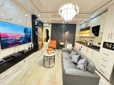 Fully Furnished One Bedroom Studio Apartmemt at Mijl Residences, Ikate, Lekki Lagos Nigeria, Lekki, Lagos, Flat / Apartment for Rent