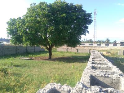 2 Plots of Dry Land, Along Lekki Free Trade Zone Road, Lekki Free Trade Zone, Lekki, Lagos, Mixed-use Land for Sale