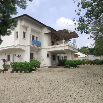 Standard and Luxury 8-bedroom Duplex with Boys Quarter, Aso Drive Asokoro Abuja, Asokoro District, Abuja, Detached Duplex for Rent