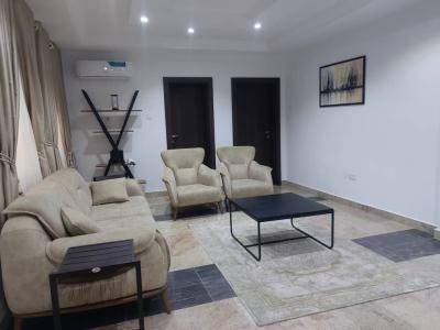 Furnished 3 Bedroom Flat, Wuse 2, Abuja, Flat / Apartment for Rent