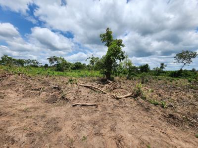 Best Agricultural Land Located in a Strategic Location, Off Funaab, Alabata Road, Odeda, Ogun, Mixed-use Land for Sale
