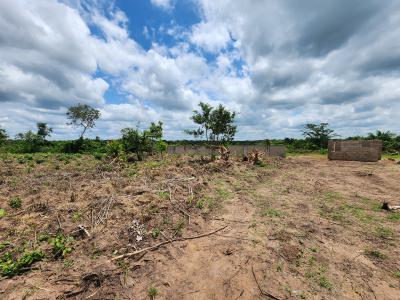 Own Productive Farmland Suitable for Cocoa Farming, Off Funaab, Alabata Road, Odeda, Ogun, Mixed-use Land for Sale