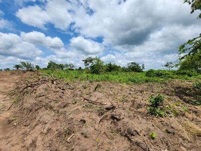 Acres of Farmland with a Promo Offer Suitable for Cashew Plantation, Off Funaab, Alabata Road, Odeda, Ogun, Mixed-use Land for Sale
