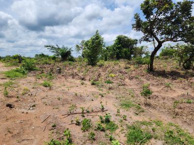 Own Productive Farmland Suitable for Oil Palm Farming, Off Funaab, Alabata Road, Odeda, Ogun, Mixed-use Land for Sale
