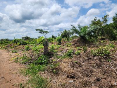 Own Farm Land with Zero Farming Experience Needed, Off Funaab, Alabata Road, Odeda, Ogun, Mixed-use Land for Sale