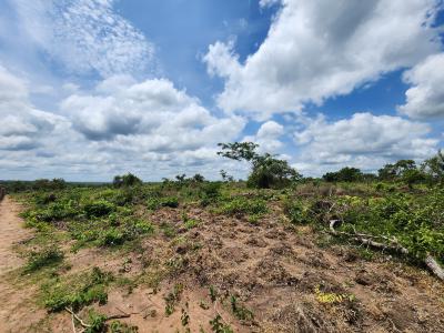 Get Your Own Farm Plot and Start Cultivating Cocoa, Off Funaab, Alabata Road, Odeda, Ogun, Mixed-use Land for Sale