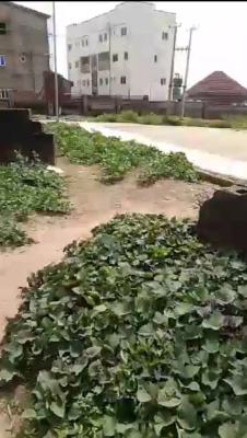 1200sqm Residential Land in Jabi on a Tarred Road, Jabi, Abuja, Residential Land for Sale
