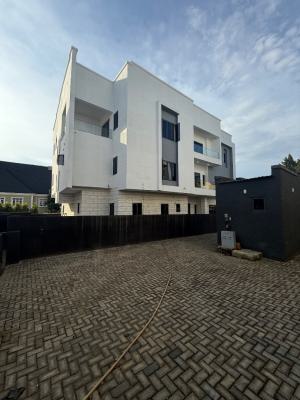 Standard Chairman Abode in a Premium Environment, Asokoro District, Abuja, Detached Duplex for Sale
