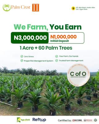 Farmland  in Ogun State, Off Afon Road, Imeko Afon, Ogun, Industrial Land for Sale