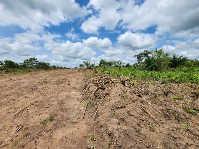Affordable Farm Land with High Returns on Investment, Off Funaab, Alabata Road, Odeda, Ogun, Mixed-use Land for Sale