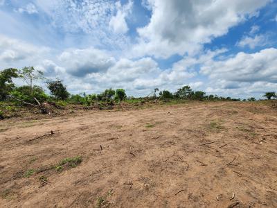 Own Acres of 100% Fertile Land Suitable for Oil Palm Farming, Off Funaab, Alabata Road, Odeda, Ogun, Mixed-use Land for Sale