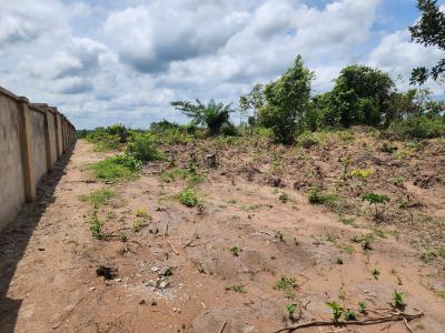 Get Farmland That Generates Income All Year Round, Off Funaab, Alabata Road, Odeda, Ogun, Mixed-use Land for Sale