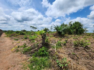 Own Farmland and Earn Steady Agricultural Returns, Off Funaab, Alabata Road, Odeda, Ogun, Mixed-use Land for Sale