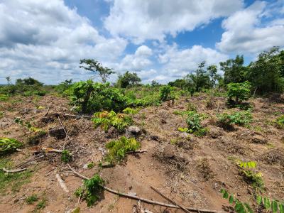 Own Fertile Farmlands with Easy Payment Options, Off Funaab, Alabata Road, Odeda, Ogun, Mixed-use Land for Sale