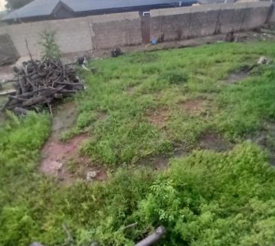 a Corner Peice Land Measuring 650sqm Fenced and Gated in a Lovely Loca, Gra Phase 1, Magodo, Lagos, Residential Land for Sale