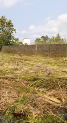 Land, Banana Island, Ikoyi, Lagos, Land for Sale