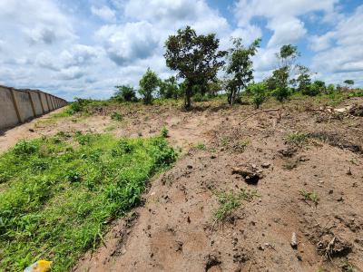 Own Productive Farmland Suitable for Cashew Farming, Off Funaab, Alabata Road, Odeda, Ogun, Mixed-use Land for Sale