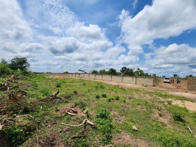 Own Affordable, Fertile Farmland Ideal for Oil Palm Farming, Off Funaab, Alabata Road, Odeda, Ogun, Mixed-use Land for Sale