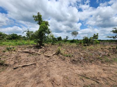 Start Earning From Agriculture with Affordable Farmland, Off Funaab, Alabata Road, Odeda, Ogun, Mixed-use Land for Sale