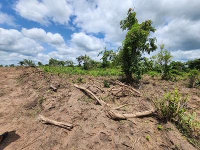 Own Fertile Farmland That Pays You Every Season, Off Funaab, Alabata Road, Odeda, Ogun, Mixed-use Land for Sale