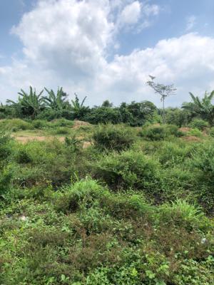 150 Acres of Land with C of O, Off Ofada Road, Mowe Ofada, Ogun, Land for Sale