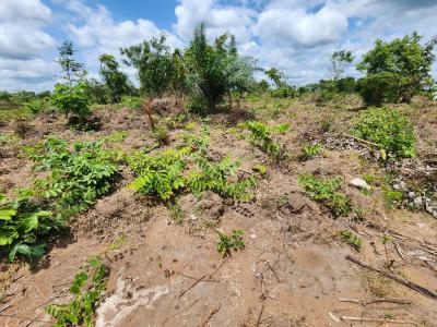 Own Productive Farmland Suitable for Cashew Farming, Off Funaab, Alabata Road, Odeda, Ogun, Mixed-use Land for Sale
