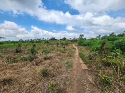 Own Affordable, Fertile Farmland Ideal for Cassava Farming, Off Funaab, Alabata Road, Odeda, Ogun, Mixed-use Land for Sale