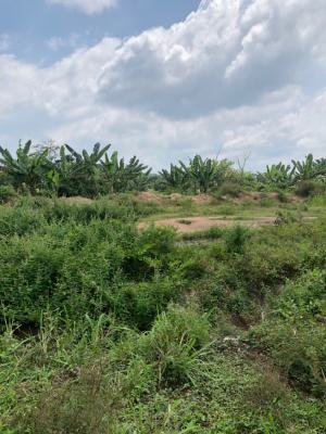 8  Acres and 16 Acres Acres of Land with C of O, Beside New Nnpc Trailer Park, Lagos- Ibadan Expressway, Km 46, Ogun, Industrial Land for Sale