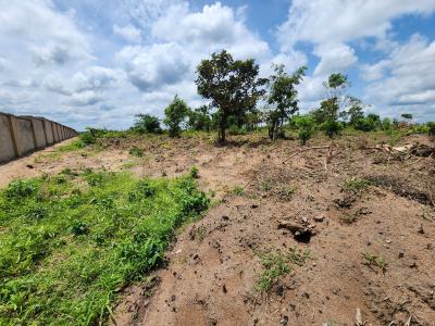 Get Your Own Farmland and Start Cultivating Oil Palm, Off Funaab, Alabata Road, Odeda, Ogun, Mixed-use Land for Sale