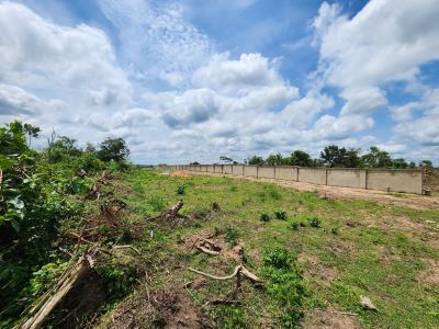 Get Your Own Farmland and Start Cultivating Oil Palm, Off Funaab, Alabata Road, Odeda, Ogun, Mixed-use Land for Sale