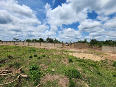 Own Farm Land with Zero Farming Experience Needed, Off Funaab, Alabata Road, Odeda, Ogun, Mixed-use Land for Sale