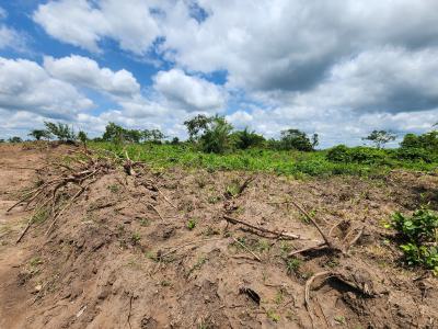 Secure Acres of Farmand and Join The Agro Business, Off Funaab, Alabata Road, Odeda, Ogun, Mixed-use Land for Sale