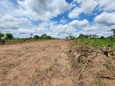 Agriculture Made Simple, Invest and Earn, Off Funaab, Alabata Road, Odeda, Ogun, Mixed-use Land for Sale