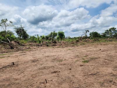 Own Productive Farmland Suitable for Cocoa Farming, Off Funaab, Alabata Road, Odeda, Ogun, Mixed-use Land for Sale