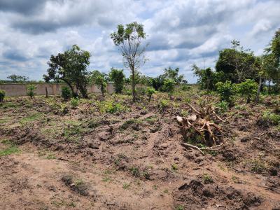 Acres of Farmland with a Promo Offer Suitable for Oil Palm Plantation, Off Funaab, Alabata Road, Odeda, Ogun, Mixed-use Land for Sale