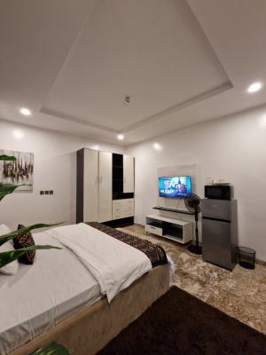 Hoolio_apartment Mabushi 201 One Room Apartment, Brookstone Street, Mabushi, Abuja, Flat / Apartment Short Let