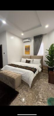 Hoolio_apartment Mabushi 203 One Room Apartment, Brookstone Street, Mabushi, Abuja, Flat / Apartment Short Let