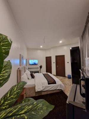 Hoolio_apartment Mabushi 301 One Room Apartment, Brookstone Street, Mabushi, Abuja, Flat / Apartment Short Let