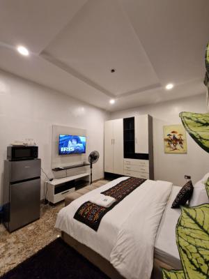 Hoolio_apartment Mabushi 302 One Room Apartment, Brookstone Street, Mabushi, Abuja, Flat / Apartment Short Let