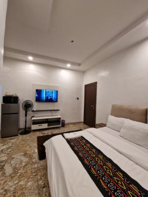Hoolio_apartment Mabushi 303 One Room Apartment, Brookstone Street, Mabushi, Abuja, Flat / Apartment Short Let