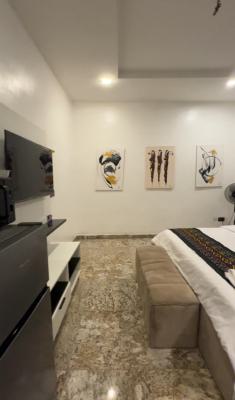 Hoolio_apartment Mabushi 304 One Room Apartment, Brookstone Street, Mabushi, Abuja, Flat / Apartment Short Let