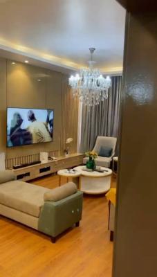 Fully Furnished Serviced 2 Bedroom, Lekki Phase 1, Lekki, Lagos, Flat / Apartment for Rent